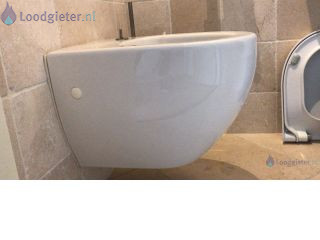 Loodgieter Installatie Toilet Toiletbril is losgekomen