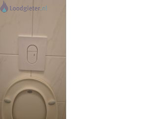 Loodgieter Reparatie toilet Reparatie spoelknop