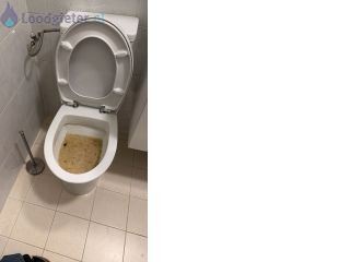 Loodgieter WC wc verstopping