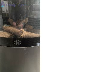 Loodgieter Gaskachel schoonmaken Gaskachel onderhoud