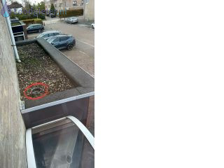 Loodgieter Dakreparatie Lekkage van de afvoer op het schuurdakje